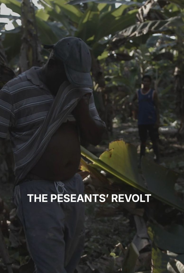 THE PESEANTS REVOLT_POSTER